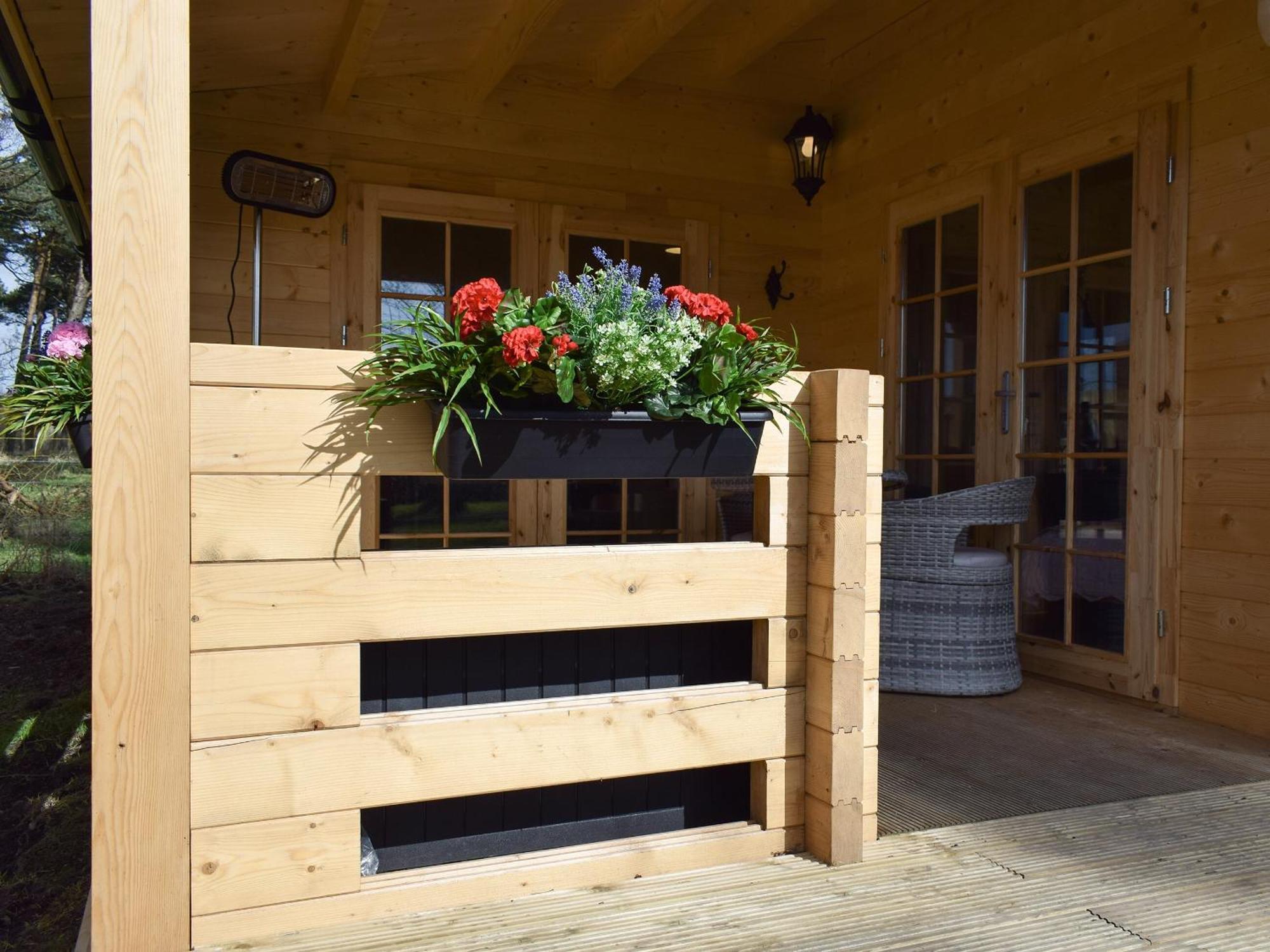 Pinewood Cabin Saline Luaran gambar
