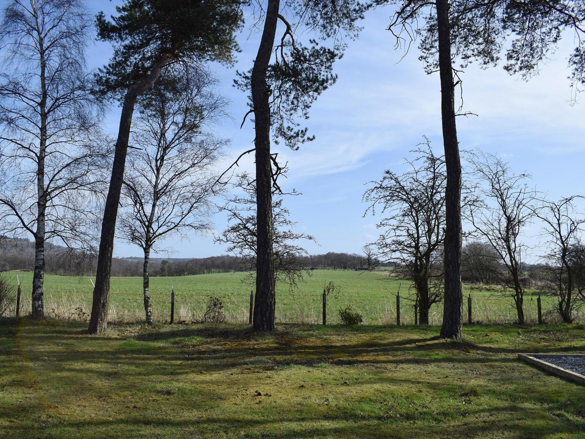 Pinewood Cabin Saline Luaran gambar