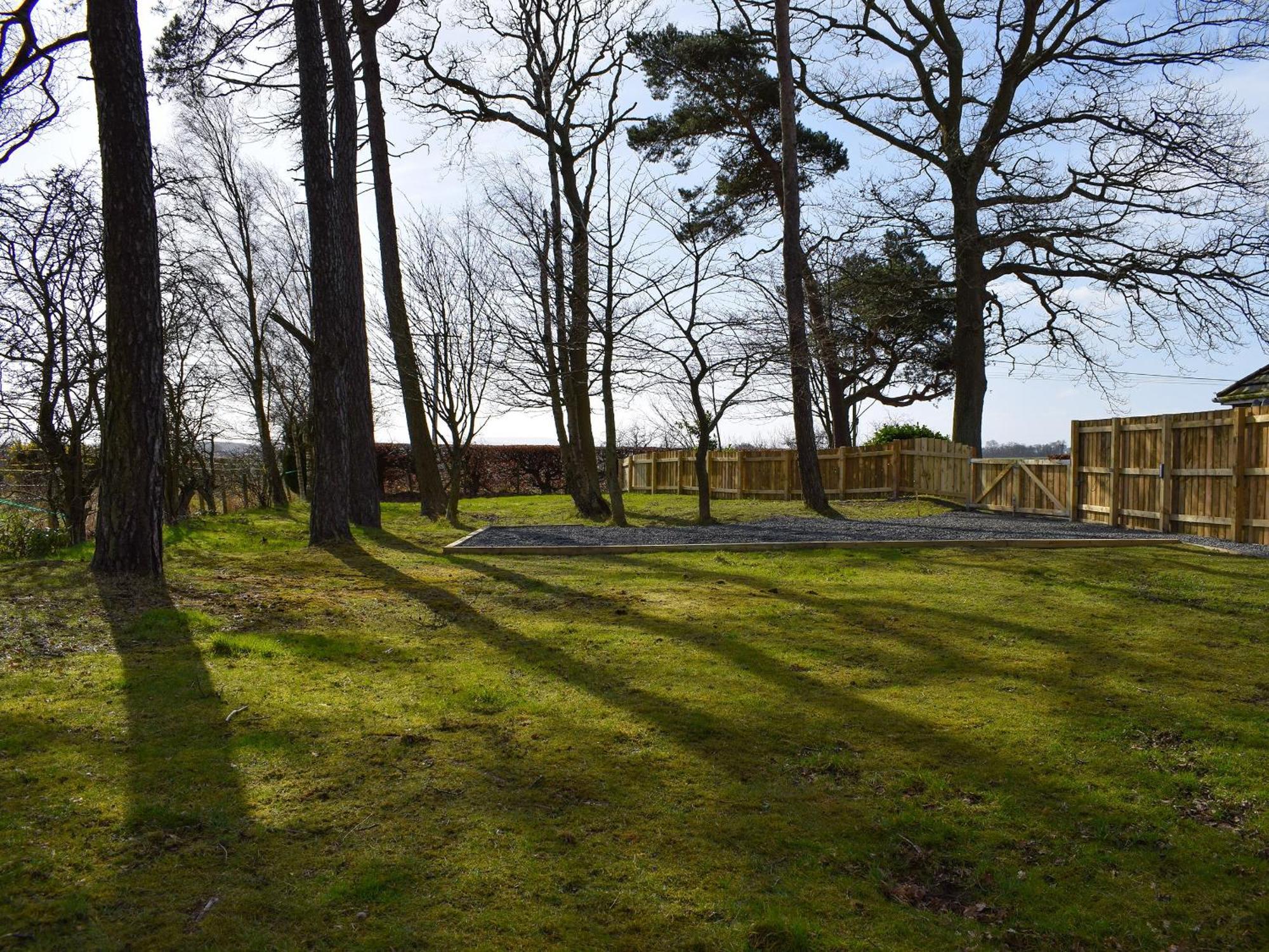 Pinewood Cabin Saline Luaran gambar